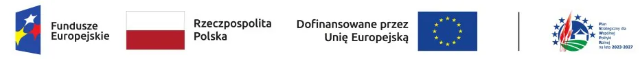 Projekt współfinansowany ze środków Unii Europejskiej - logotypy funduszy