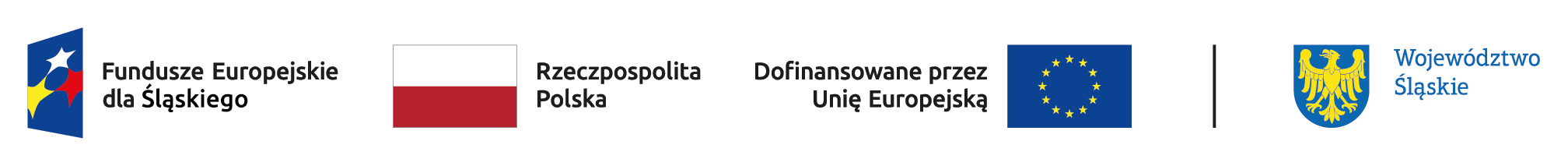 FE SL kolor poziom br.png
