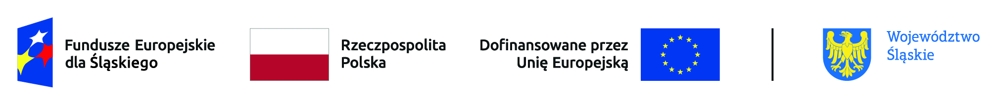 FE SL kolor poziom br.jpg